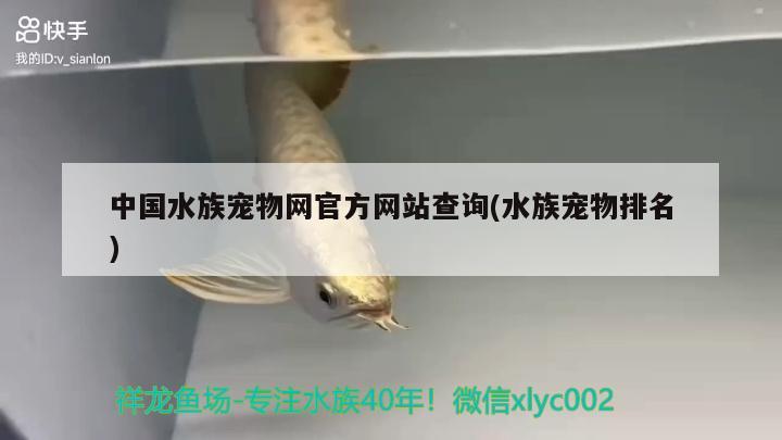 中国水族宠物网官方网站查询(水族宠物排名)