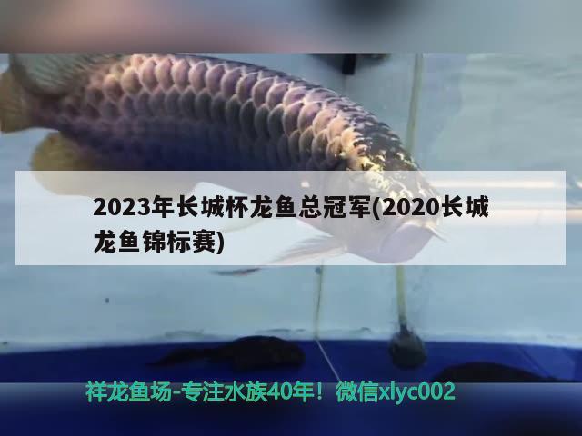 2023年长城杯龙鱼总冠军(2020长城龙鱼锦标赛)