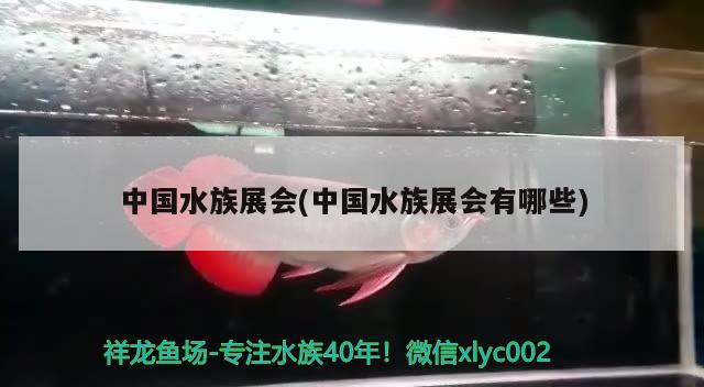 中国水族展会(中国水族展会有哪些) 水族展会