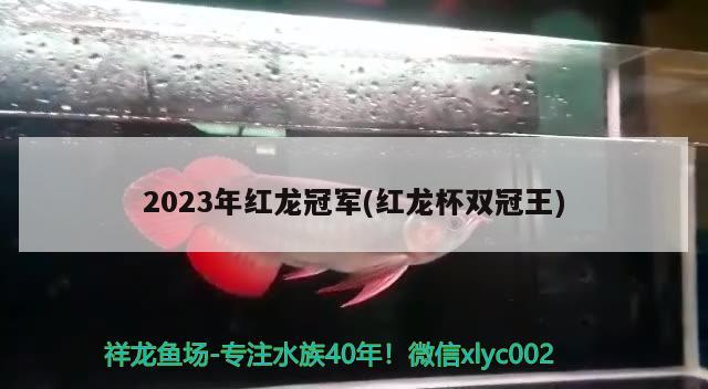 2023年红龙冠军(红龙杯双冠王) 2024第28届中国国际宠物水族展览会CIPS（长城宠物展2024 CIPS）