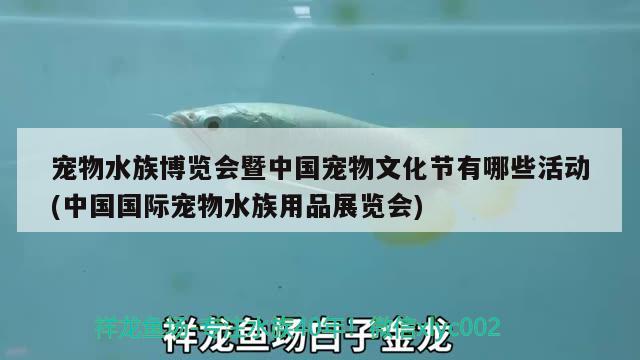 宠物水族博览会暨中国宠物文化节有哪些活动(中国国际宠物水族用品展览会) 水族用品