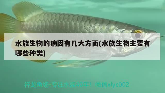 水族生物的病因有几大方面(水族生物主要有哪些种类)