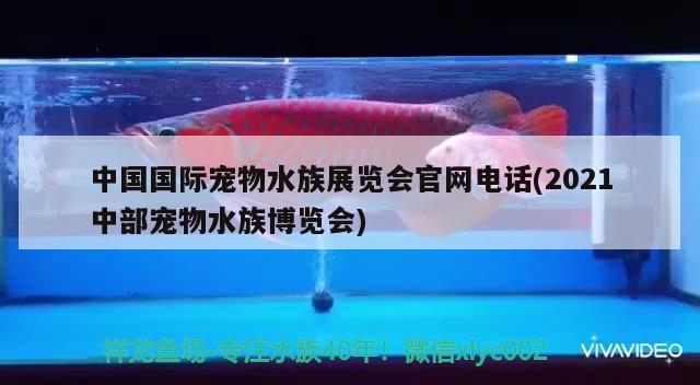 中国国际宠物水族展览会官网电话(2021中部宠物水族博览会)