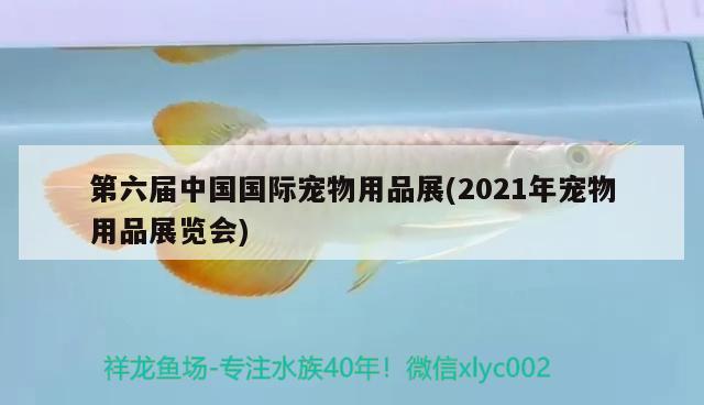 第六届中国国际宠物用品展(2021年宠物用品展览会)