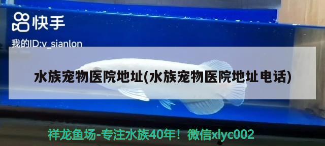 水族宠物医院地址(水族宠物医院地址电话) 2024第28届中国国际宠物水族展览会CIPS（长城宠物展2024 CIPS）