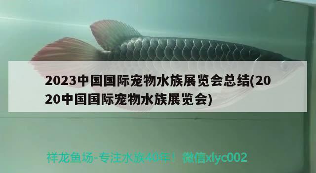 2023中国国际宠物水族展览会总结(2020中国国际宠物水族展览会)