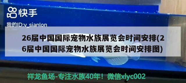 26届中国国际宠物水族展览会时间安排(26届中国国际宠物水族展览会时间安排图) 水族展会