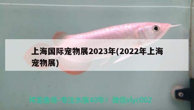 上海国际宠物展2023年(2022年上海宠物展)