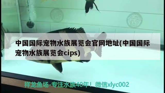 中国国际宠物水族展览会官网地址(中国国际宠物水族展览会cips)