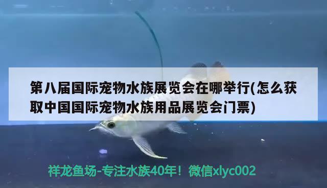 第八届国际宠物水族展览会在哪举行(怎么获取中国国际宠物水族用品展览会门票)