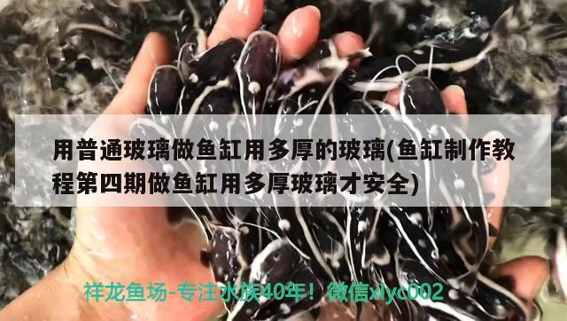 用普通玻璃做鱼缸用多厚的玻璃(鱼缸制作教程第四期做鱼缸用多厚玻璃才安全)