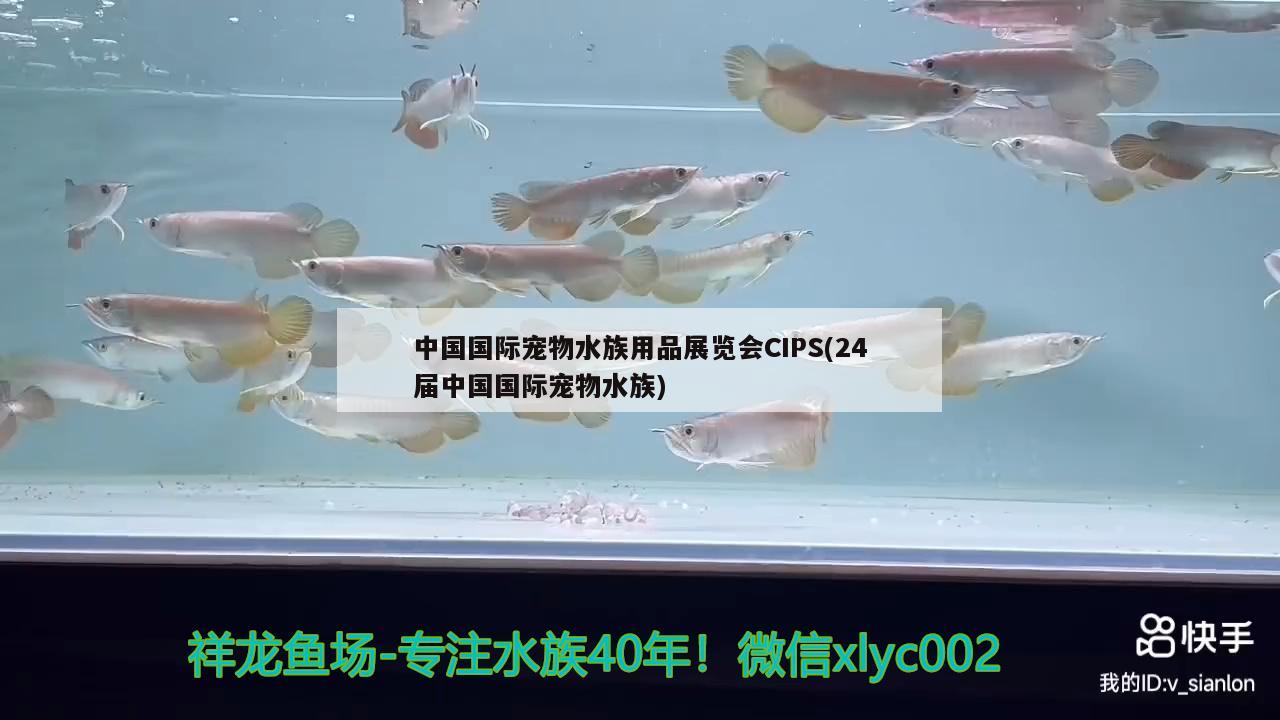 中国国际宠物水族用品展览会CIPS(24届中国国际宠物水族)