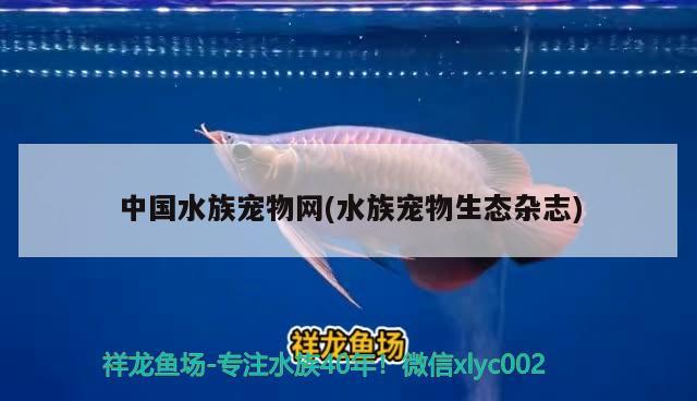 中国水族宠物网(水族宠物生态杂志)