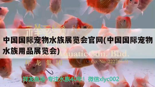 中国国际宠物水族展览会官网(中国国际宠物水族用品展览会) 水族展会