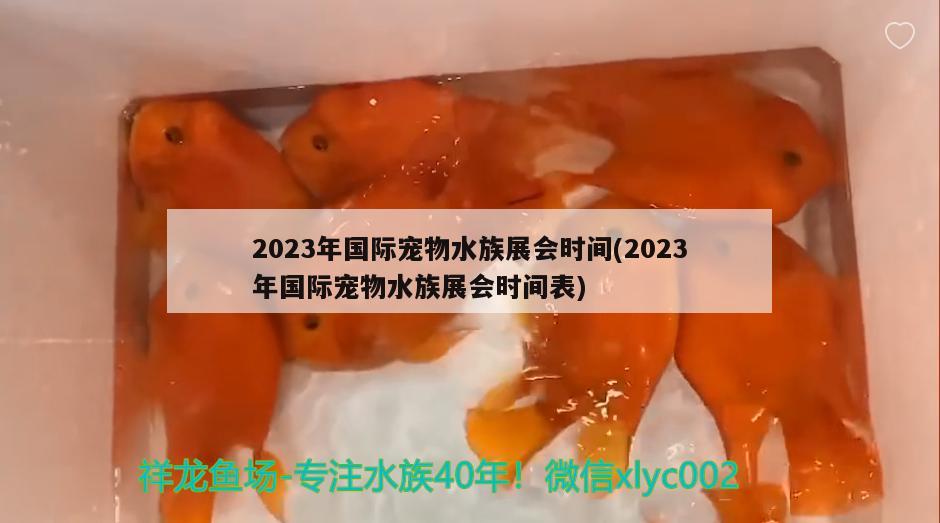 2023年国际宠物水族展会时间(2023年国际宠物水族展会时间表)