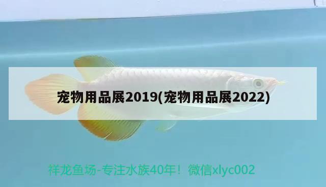 宠物用品展2019(宠物用品展2022)