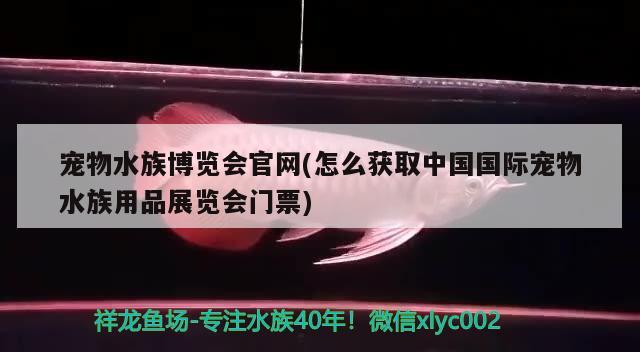 宠物水族博览会官网(怎么获取中国国际宠物水族用品展览会门票) 水族用品