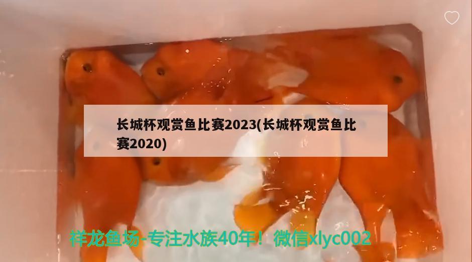 长城杯观赏鱼比赛2023(长城杯观赏鱼比赛2020) 2024第28届中国国际宠物水族展览会CIPS（长城宠物展2024 CIPS）