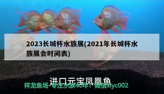 2023长城杯水族展(2021年长城杯水族展会时间表) 水族展会