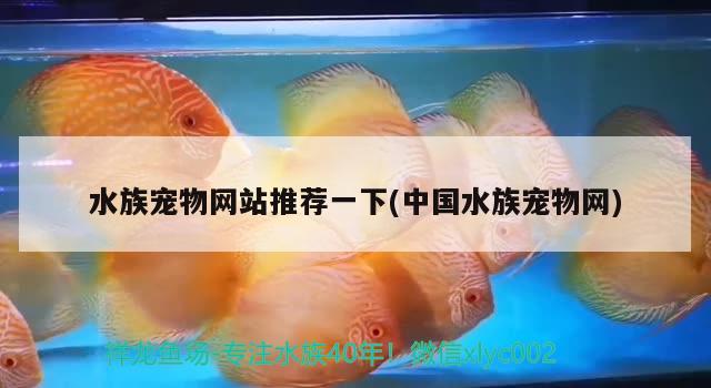 水族宠物网站推荐一下(中国水族宠物网) 2024第28届中国国际宠物水族展览会CIPS（长城宠物展2024 CIPS）