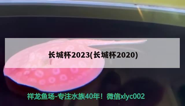 长城杯2023(长城杯2020)