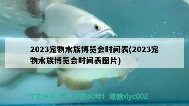 2023宠物水族博览会时间表(2023宠物水族博览会时间表图片) 2024第28届中国国际宠物水族展览会CIPS（长城宠物展2024 CIPS）