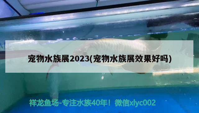 宠物水族展2023(宠物水族展效果好吗)