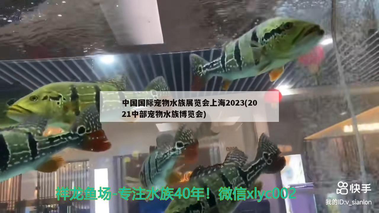 中国国际宠物水族展览会上海2023(2021中部宠物水族博览会)