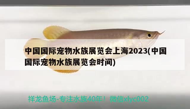 中国国际宠物水族展览会上海2023(中国国际宠物水族展览会时间)