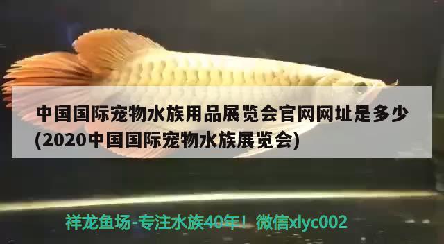 中国国际宠物水族用品展览会官网网址是多少(2020中国国际宠物水族展览会) 水族展会