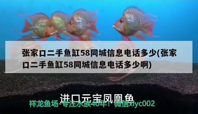 张家口二手鱼缸58同城信息电话多少(张家口二手鱼缸58同城信息电话多少啊) 帝王迷宫鱼 第1张