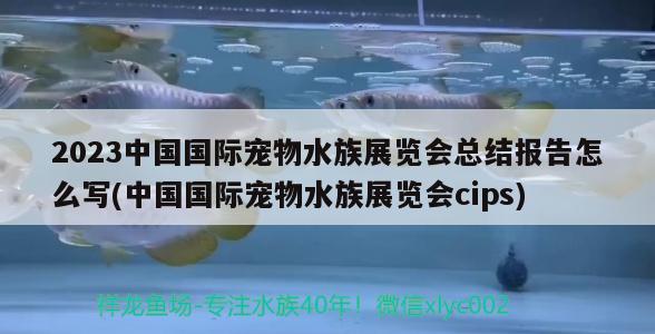 2023中国国际宠物水族展览会总结报告怎么写(中国国际宠物水族展览会cips)