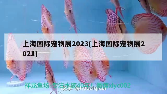 上海国际宠物展2023(上海国际宠物展2021) 2024第28届中国国际宠物水族展览会CIPS（长城宠物展2024 CIPS）