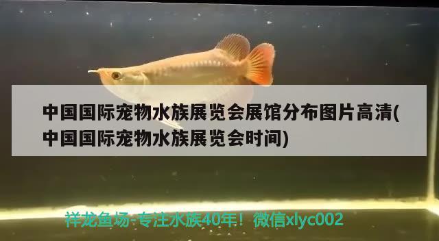 中国国际宠物水族展览会展馆分布图片高清(中国国际宠物水族展览会时间) 水族展会