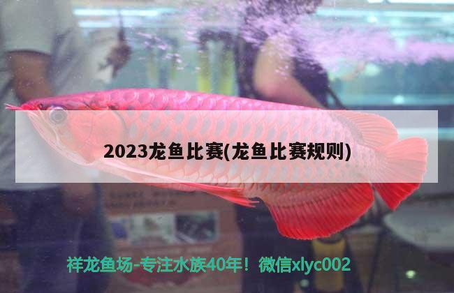 2023龙鱼比赛(龙鱼比赛规则) 2024第28届中国国际宠物水族展览会CIPS（长城宠物展2024 CIPS）