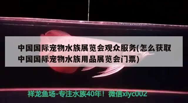 中国国际宠物水族展览会观众服务(怎么获取中国国际宠物水族用品展览会门票)