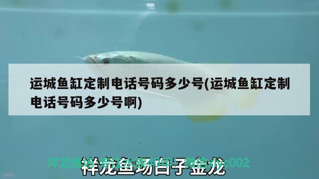 运城鱼缸定制电话号码多少号(运城鱼缸定制电话号码多少号啊)