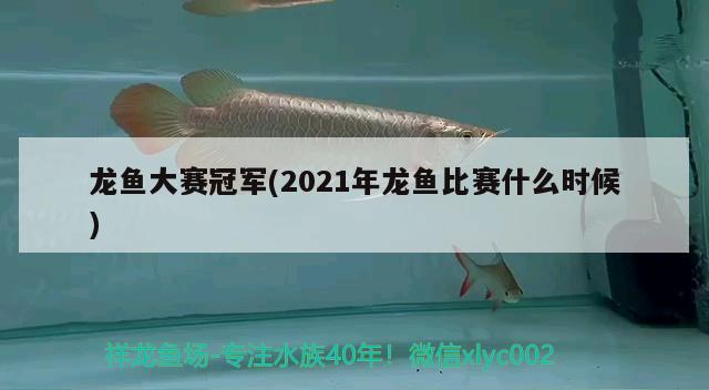 龙鱼大赛冠军(2021年龙鱼比赛什么时候) 2024第28届中国国际宠物水族展览会CIPS（长城宠物展2024 CIPS）