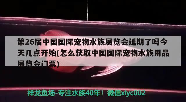 第26届中国国际宠物水族展览会延期了吗今天几点开始(怎么获取中国国际宠物水族用品展览会门票)