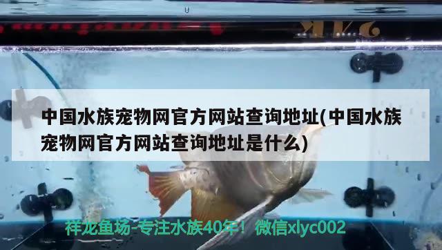 中国水族宠物网官方网站查询地址(中国水族宠物网官方网站查询地址是什么) 第27届cips长城杯宠物水族博览会cips2023