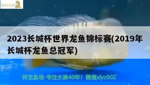 2023长城杯世界龙鱼锦标赛(2019年长城杯龙鱼总冠军) 2024第28届中国国际宠物水族展览会CIPS（长城宠物展2024 CIPS）