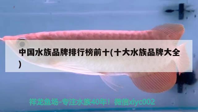 中国水族品牌排行榜前十(十大水族品牌大全)