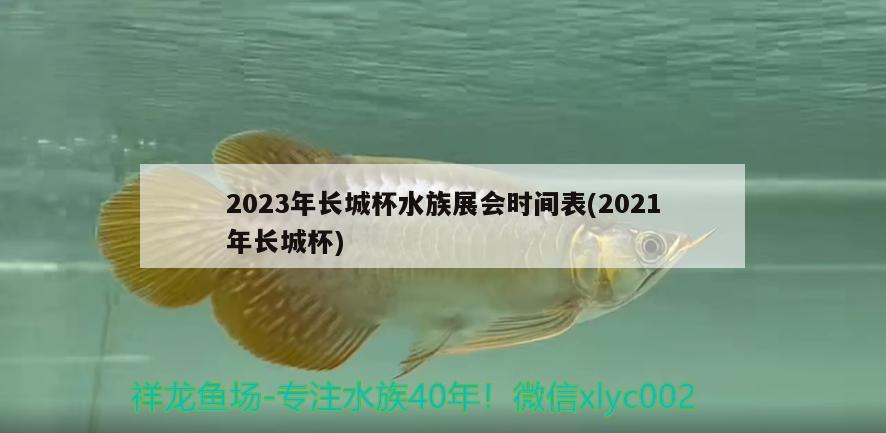 2023年长城杯水族展会时间表(2021年长城杯)