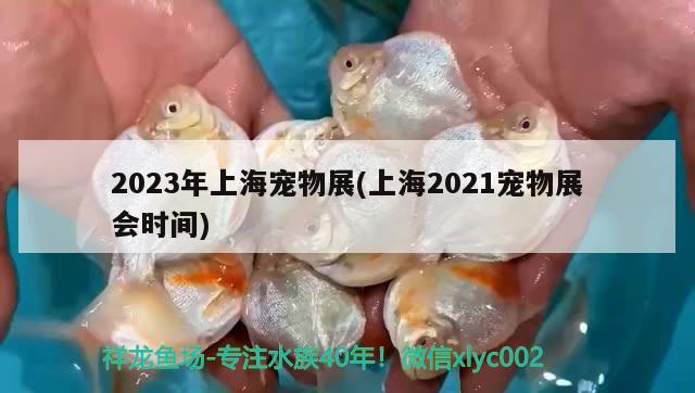 2023年上海宠物展(上海2021宠物展会时间) 2024第28届中国国际宠物水族展览会CIPS（长城宠物展2024 CIPS） 第2张