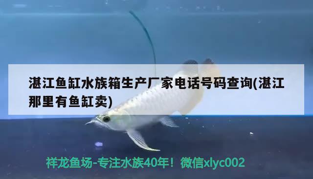 湛江鱼缸水族箱生产厂家电话号码查询(湛江那里有鱼缸卖) 鱼缸/水族箱