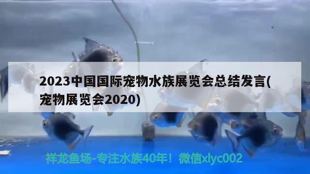 2023中国国际宠物水族展览会总结发言(宠物展览会2020)