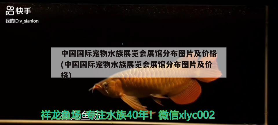 中国国际宠物水族展览会展馆分布图片及价格(中国国际宠物水族展览会展馆分布图片及价格) 水族展会