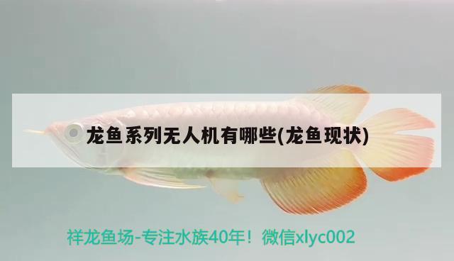 龙鱼系列无人机有哪些(龙鱼现状) 2024第28届中国国际宠物水族展览会CIPS（长城宠物展2024 CIPS）