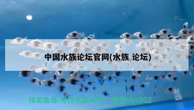 中国水族论坛官网(水族论坛)