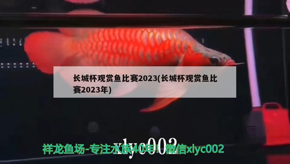 长城杯观赏鱼比赛2023(长城杯观赏鱼比赛2023年) 2024第28届中国国际宠物水族展览会CIPS（长城宠物展2024 CIPS）